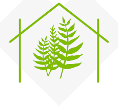 Fern Tuakana Teina Outdoors